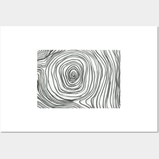 Whorl Posters and Art